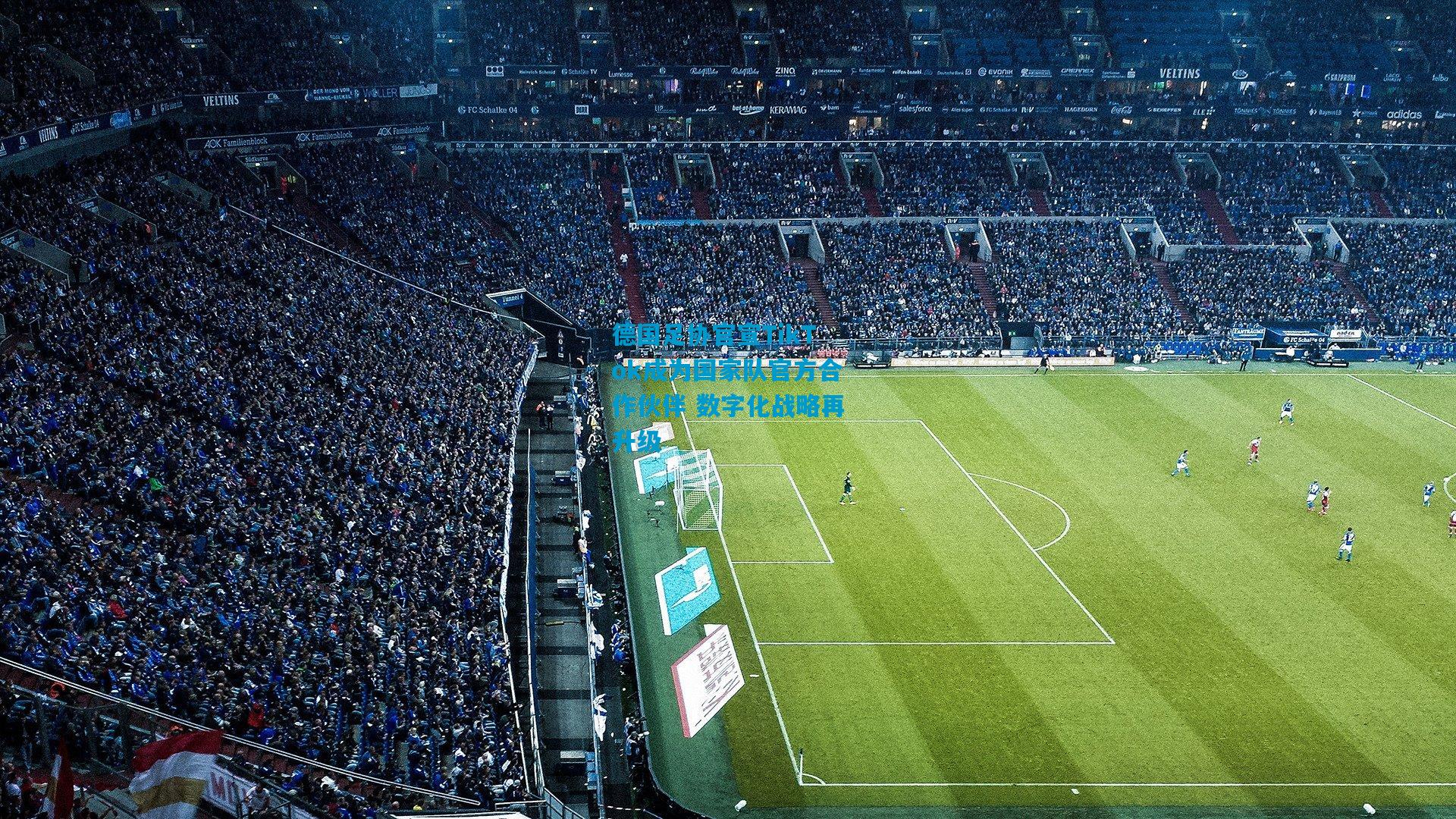 德国足协官宣TikTok成为国家队官方合作伙伴 数字化战略再升级