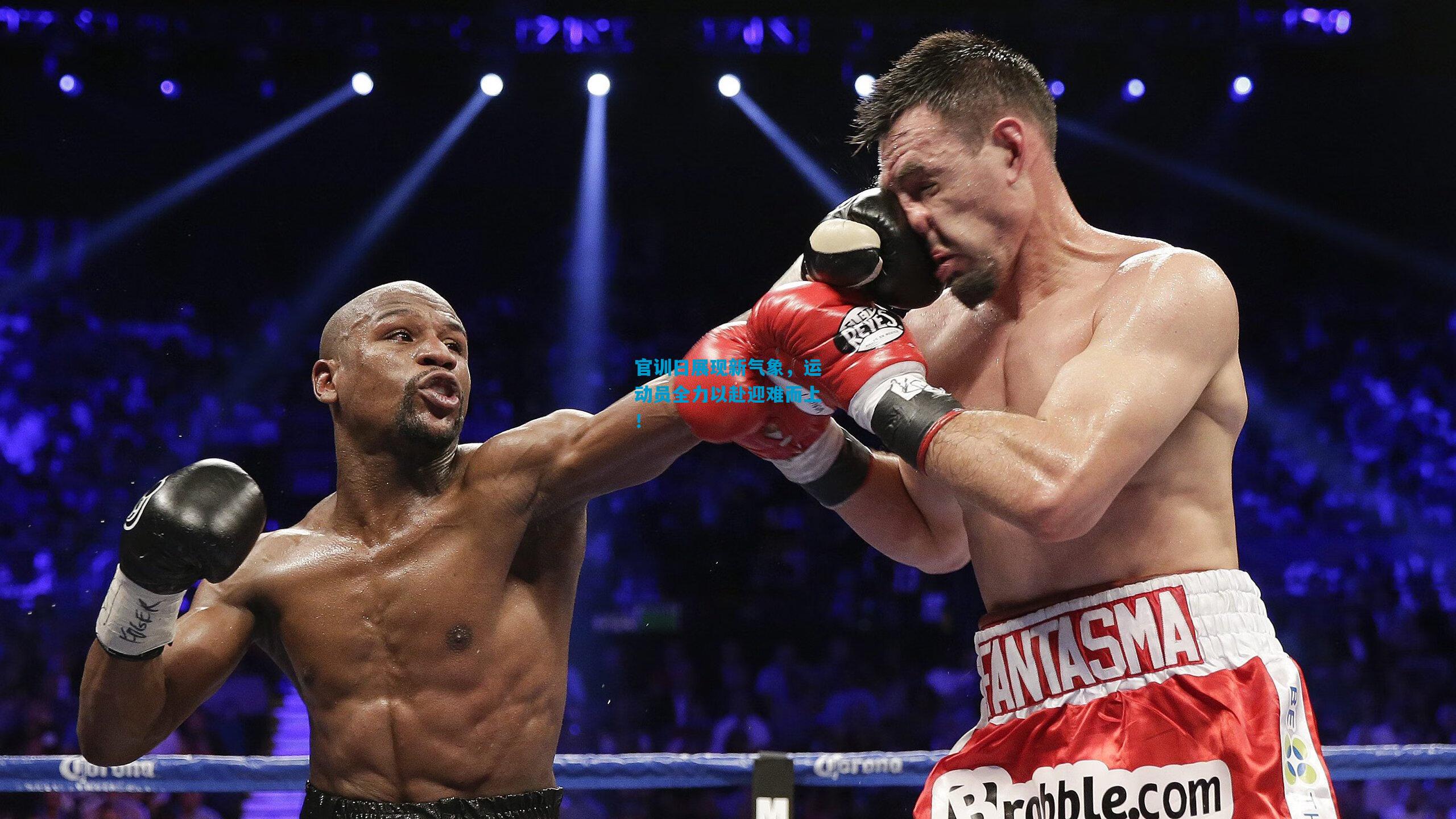 官训日展现新气象,运动员全力以赴迎难而上!